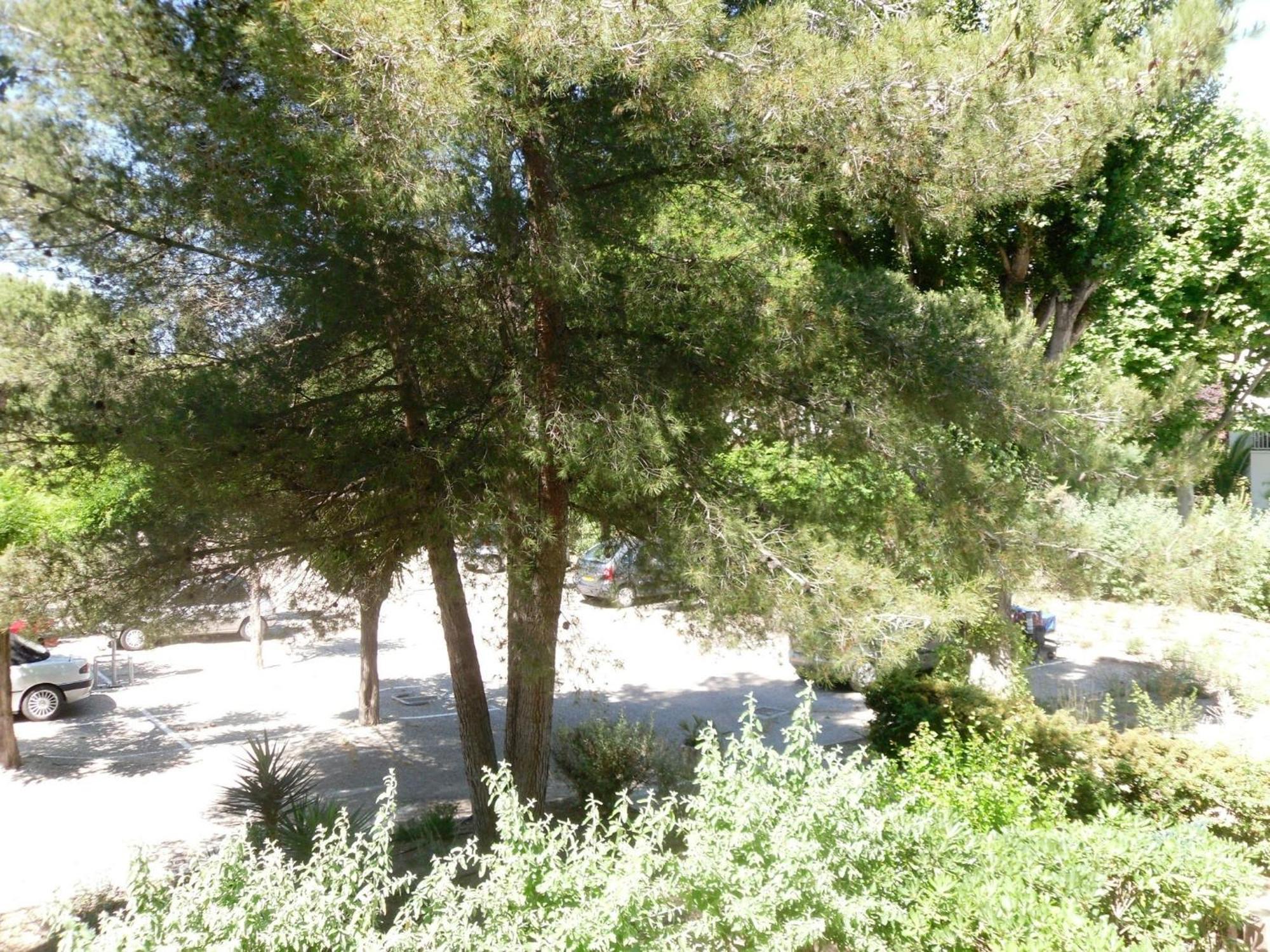 Vittoria Immobilier 1 Appartamento